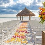 Marco Island Marriott Beach Resort Wedding